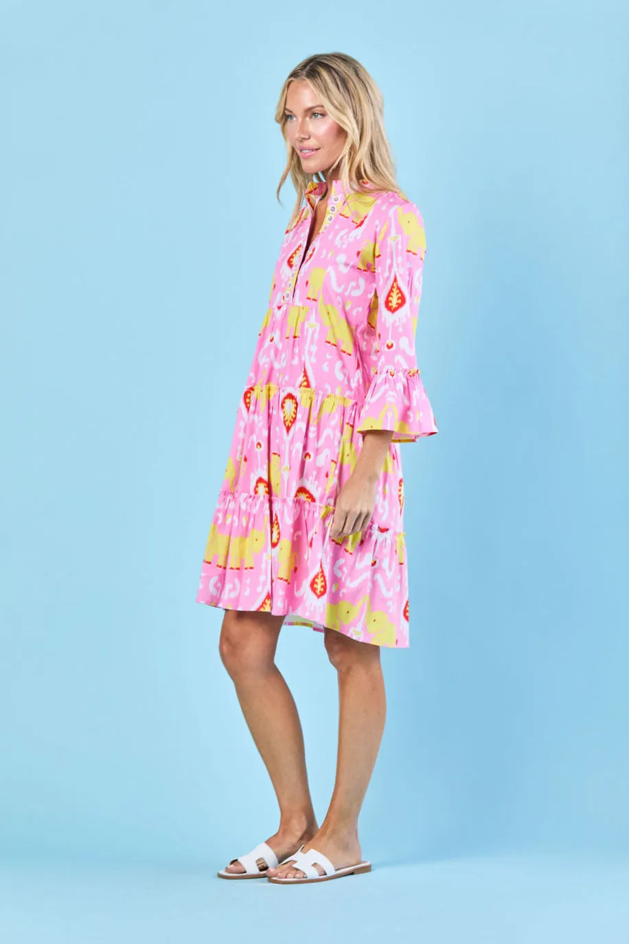 Caty Dress in Taffy Trunk Show