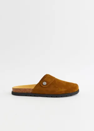 Danny Mules