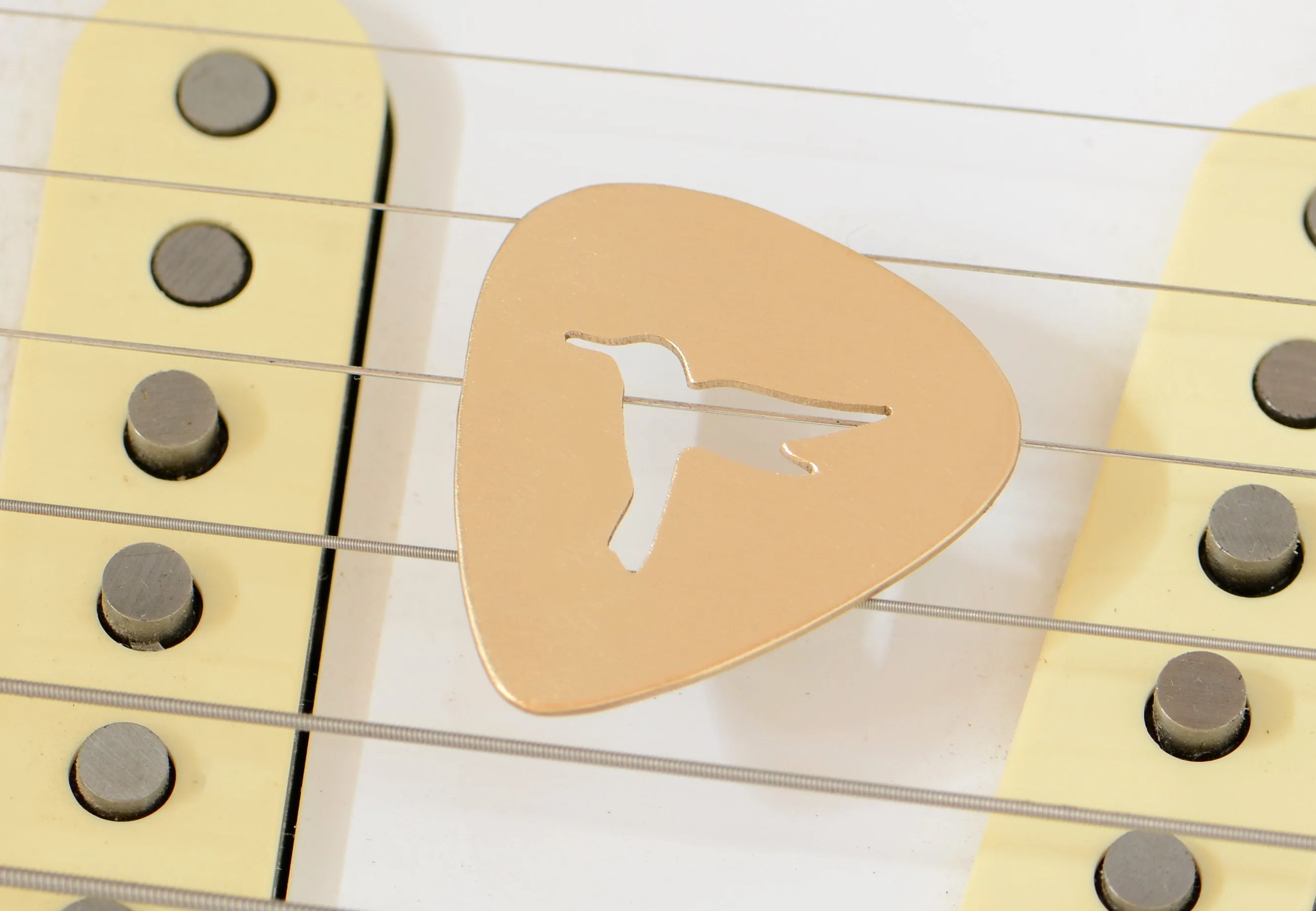 Hummingbird on Guitar Pick in Bronze