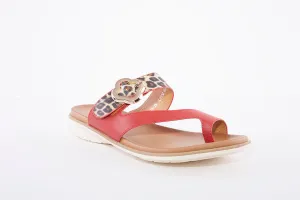 LUNAR - JLH152 Larkin Leopard Toe Loop Sandal Red
