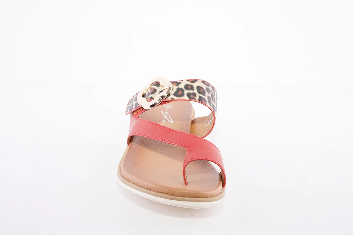 LUNAR - JLH152 Larkin Leopard Toe Loop Sandal Red
