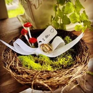 Ring Bearer Bird's Nest